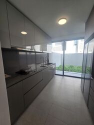 Pollen Collection (D28), Terrace #618138421
